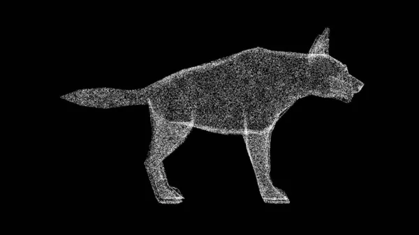 黒のバッグに3Dハイエナ 野生動物の概念 環境の保護 動物園のコンセプト タイトル テキスト プレゼンテーションのために 光る粒子でできた物体 3Dアニメーション — ストック写真
