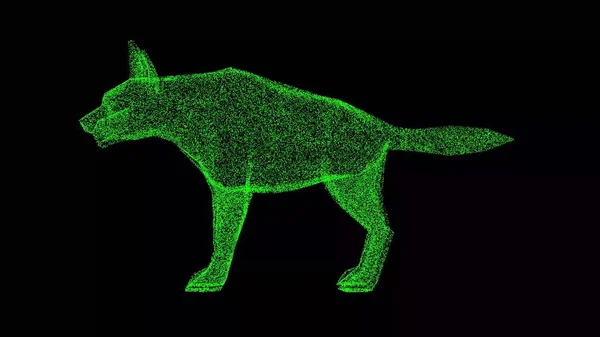 黒のバッグに3Dハイエナ 野生動物の概念 環境の保護 動物園のコンセプト タイトル テキスト プレゼンテーションのために 光る粒子でできた物体 3Dアニメーション — ストック写真