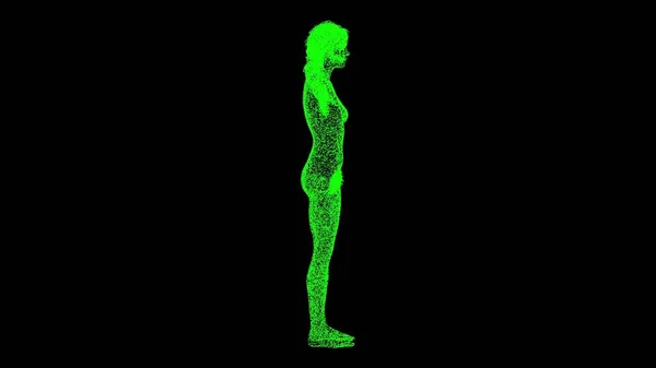 3D裸体女人在黑色的Bg 一个有乳房的女人的医学动画 3D女性或女性解剖学 身体生物医药教育的概念 3D动画 — 图库照片