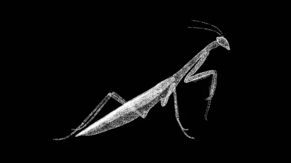 黑色Bg上的3D螳螂 昆虫螳螂 野生动物的概念 环境保护 动物园的概念 用闪光的粒子制成的物体 3D动画 — 图库照片