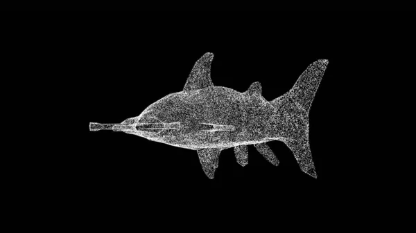 3D Hammerhead Shark on black bg. Wild animals concept. Protection of the environment. For title, text, presentation. Object made of shimmering particles. 3d animation