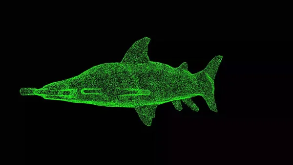 3D Hammerhead Shark on black bg. Wild animals concept. Protection of the environment. For title, text, presentation. Object made of shimmering particles. 3d animation