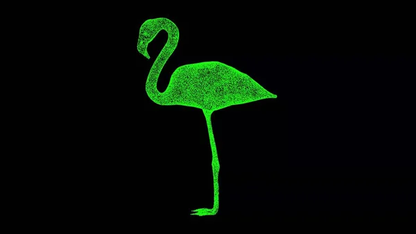 3D flamingo on black bg. Wild animals concept. Protection of the environment. For title, text, presentation. Object made of shimmering particles. 3d animation