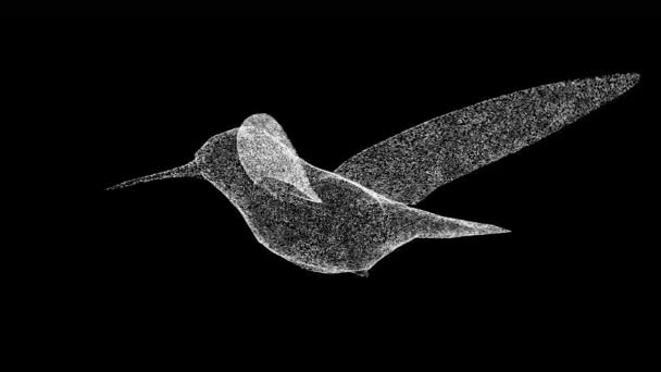 3D蜂鸟在黑色的Bg上旋转 和平与繁荣的象征 野生动物的概念 环境保护 3D动画60 Fps — 图库视频影像