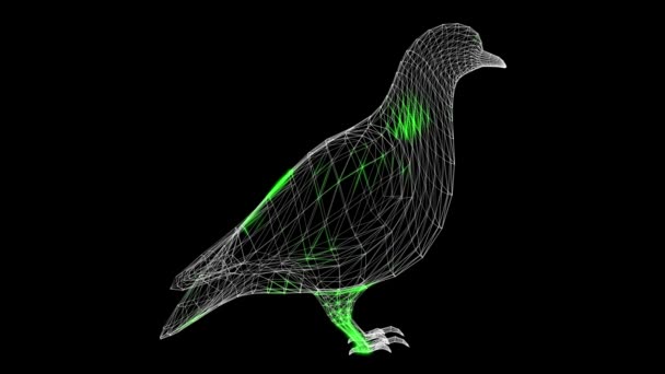 3D鳩は黒い袋でスキャンします 鳥鳩は平和と繁栄の象徴です 野生動物の概念 環境の保護 タイトル テキスト プレゼンテーションのために 3Dアニメーション60 Fps — ストック動画