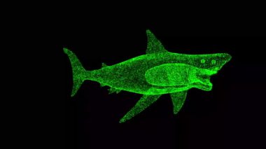 3D beyaz köpekbalığı siyah bg üzerinde döner. Megalodon okyanustaki en yırtıcı hayvandır. Vahşi hayvanlar konsepti. Başlık, metin, sunum için. Parlayan parçacıklardan yapılmış bir nesne. 3D animasyon 60 FPS