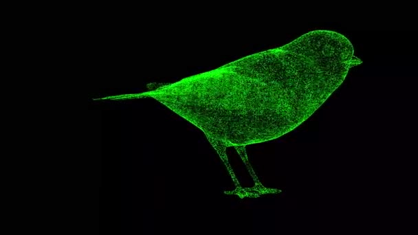 3Dナイチンゲール鳥は黒い袋で回転します 野生動物の概念 環境の保護 タイトル テキスト プレゼンテーションのために 光る粒子でできた物体 3Dアニメーション60 Fps — ストック動画