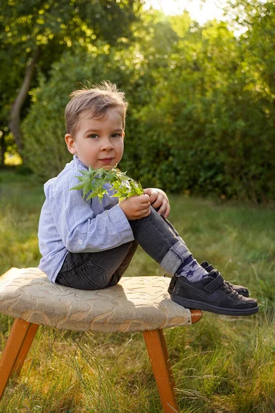 可爱的小男孩坐在花园里的椅子上 夏天的心情 — 图库照片