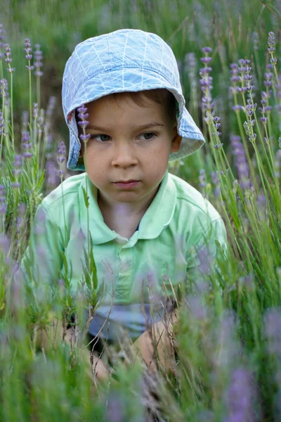 一个悲伤的孩子坐在一丛丛薰衣草中 — 图库照片
