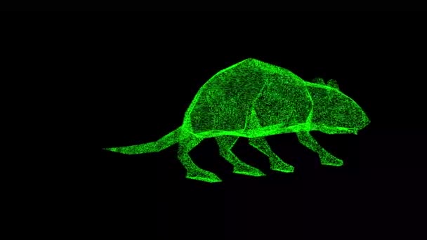 3D鼠在黑色Bg上旋转 自然和动物概念 鼠类和害虫防治 发光的粒子 3D动画60 Fps — 图库视频影像