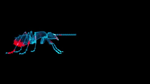 Exploración Insectos Negro Con Espacio Copia Control Asesinato Insectos Servicio — Vídeos de Stock