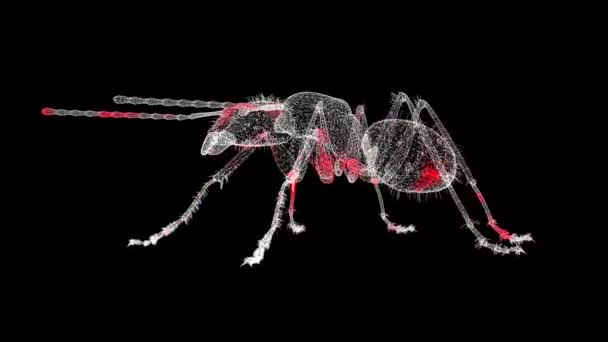 Insect Rotiert Auf Schwarzem Grund Schädlingsbekämpfung Insektenvernichtung Insektensterben Für Titel — Stockvideo