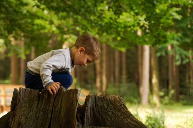 Çocuk büyük bir kütüğün üzerinde otururken eğleniyor. İyi tatiller.