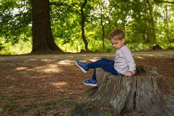 那孩子坐在树桩上玩得很开心 — 图库照片