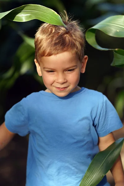 Een Kind Het Bladerdek Van Maïs Ecologisch Concept — Stockfoto