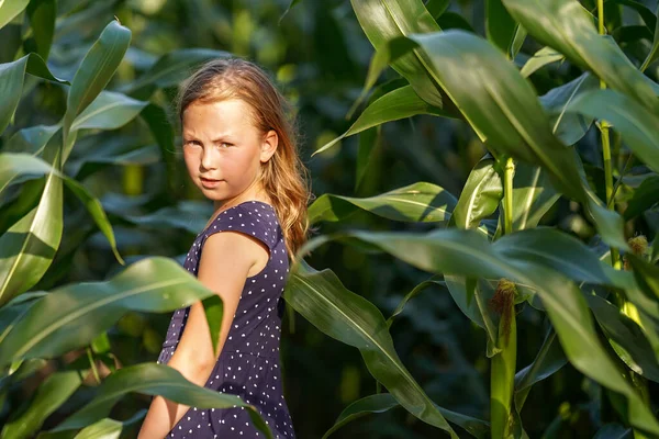 stock image Rural girl with long hair in summer dress in cornfield