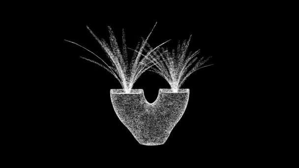 Японська Декоративна Квітка Обертається Чорному Весняна Квіткова Концепція Домашній Декор — стокове відео
