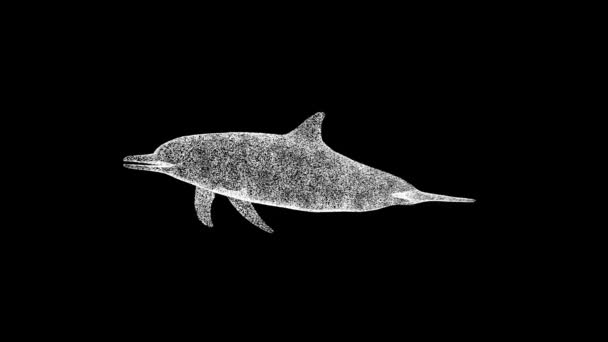 Dolphin Gira Sobre Negro Aqua Park Animales Marinos Acuáticos Hábitat — Vídeo de stock