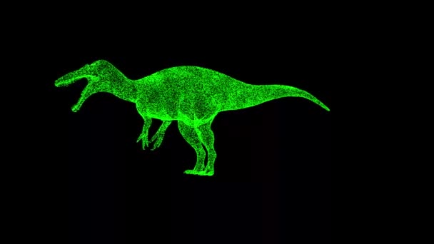 3D恐竜は黒い背景に回転する 先史時代の恐竜 ジュラシック時代 メソゾイック時代 自然史博物館 歴史的な時代 タイトル テキスト プレゼンテーション 3Dアニメーション — ストック動画