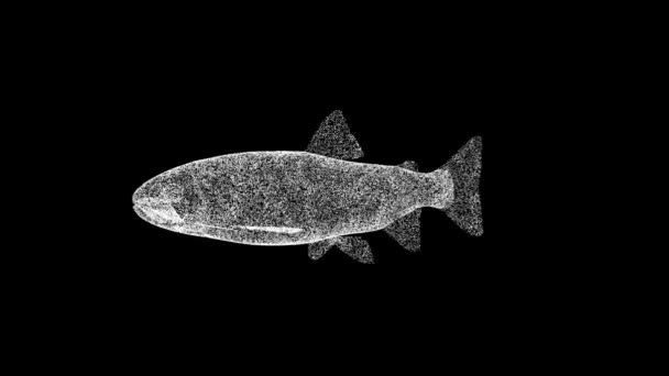 Fish Draait Zwart Zakelijke Reclame Achtergrond Voor Titel Tekst Presentatie — Stockvideo