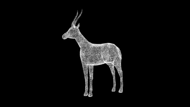 3DガゼルはブラックBgで回転する 野生動物のコンセプト ビジネス広告の背景 タイトル テキスト プレゼンテーション 3Dアニメーション Fps — ストック動画