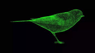 Siyah bg üzerinde üç boyutlu Nightingale kuşu. Vahşi hayvanlar konsepti. Çevrenin korunması. Başlık, metin, sunum için. Parlayan parçacıklardan yapılmış bir nesne. 3d canlandırma 