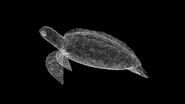 Siyah Üzerinde Boyutlu Kaplumbağa Altı Dünyası Kaplumbağalar Dünya Denizi Deniz — Stok fotoğraf