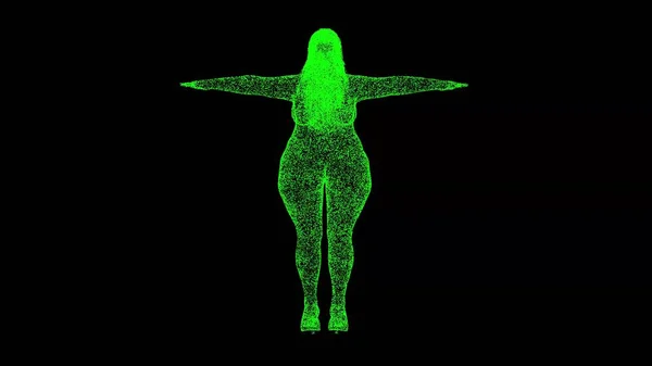 3D Fat woman on black bg. Unhealthy lifestyle, diet. Body Fat Overweight. Healthcare and good body shape concept. Health Problems, Fat. For title, text, presentation. 3d animation