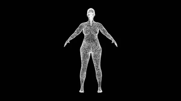 黒いBgの3D脂肪の女性 不健康なライフスタイル ダイエット 体脂肪 太りすぎ ヘルスケアとボディーシェイプのコンセプト 健康問題 タイトル テキスト プレゼンテーション — ストック写真