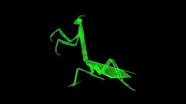 3D mantis on black bg. Wild animal in the nature habitat. Green praying mantis is in danger. Travel and tourism. For title, text, presentation. 3D animation