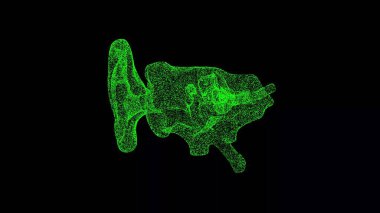 Siyah arka planda 3 boyutlu kulak anatomisi. Kulak iç anatomisi bölümü. Reklam arkaplanı. Başlık, metin, sunum için. Nesne titreşen parçacıkları eritti. 3d canlandırma 
