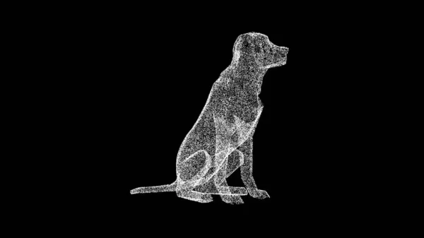 3D坐着的狗黑色背景 金色的拉布拉多犬张开嘴呼吸 3D动画 — 图库照片