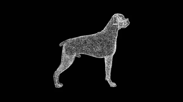 黑色背景的3D狗标题 3D动画 — 图库照片