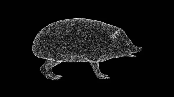 ブラックBgの3Dハリネズミ 野生動物のコンセプト 環境保護について タイトル テキスト プレゼンテーション 3Dアニメーション — ストック写真
