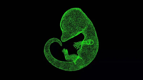 3D Animal embryo on black bg. Wild animals concept. Protection of the environment. For title, text, presentation. 3d animation