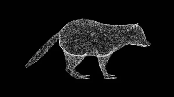 3D浣熊的黑色Bg 可爱有趣的浣熊 野生动物的概念 环境保护 3D动画 — 图库照片
