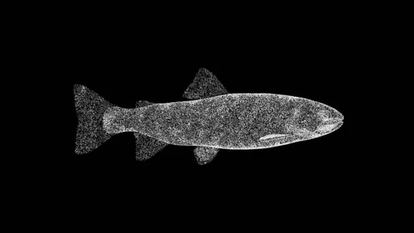 3D鱼在黑色的Bg 商业广告背景 3D动画 — 图库照片