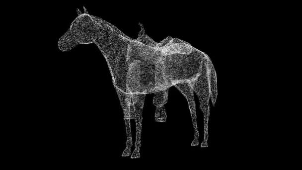Koń Siodłem Obraca Się Czarnym Tle Pomysł Zwierzętami Wyścigi Konne — Wideo stockowe