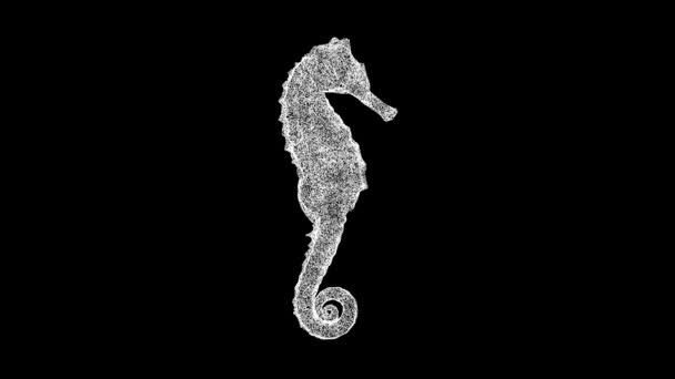 3D海马在黑色背景上旋转 海洋动物的概念 水下世界 商业广告背景 3D动画60 Fps — 图库视频影像