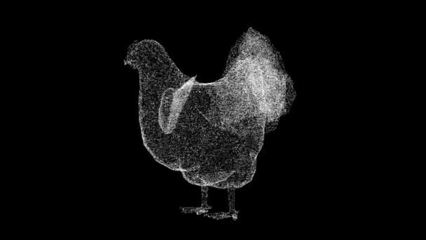 Курица Вращается Черном Фоне Концепция Фермы Домашних Животных Производство Яиц — стоковое видео