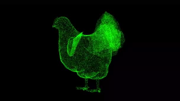 Hen在黑色背景下旋转 农场和家畜的概念 肉类和鸡蛋生产 商业广告背景 3D动画60 Fps — 图库视频影像