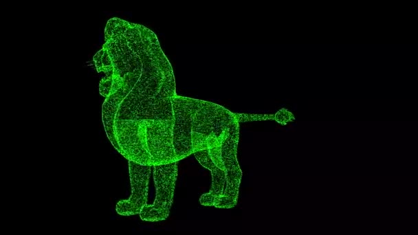 Lion Περιστρέφεται Μαύρο Φόντο Έννοια Άγριων Ζώων Φυσικά Καταφύγια Και — Αρχείο Βίντεο