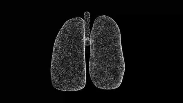 Menschliche Lungen Rotieren Auf Schwarzem Hintergrund Medizinisches Und Wissenschaftliches Konzept — Stockvideo