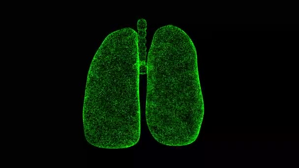3D人肺在黑色背景下旋转 医学和科学概念 内部器官 商业广告背景 3D动画60 Fps — 图库视频影像