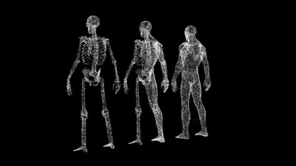 3Dマンアナトミーは黒い背景で回転する 医学と科学のコンセプト 男性の体の解剖 ビジネス広告の背景 タイトル テキスト プレゼンテーション 3Dアニメーション Fps — ストック動画