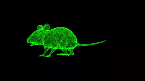 3D鼠标在黑色背景下旋转 小动物的概念 鼠类和害虫 商业广告背景 3D动画60 Fps — 图库视频影像