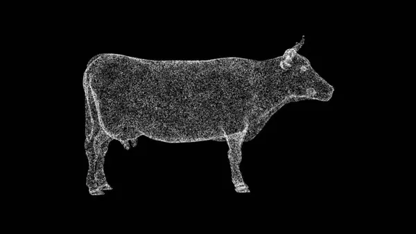Vaca Sobre Fondo Negro Concepto Granja Animales Domésticos Producción Carne — Foto de Stock