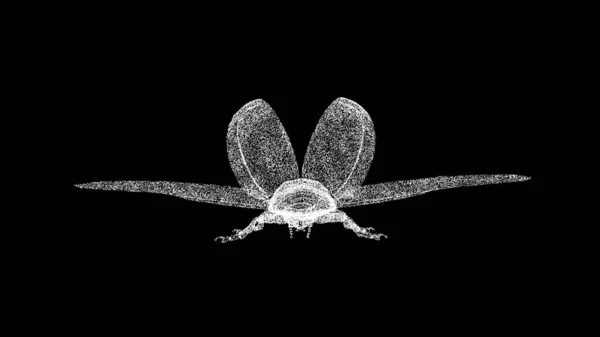 黑色背景的3D瓢虫动物昆虫的概念 飞瓢虫 商业广告背景 3D动画 — 图库照片