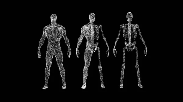 黒い背景の3Dマンアナトミー 医学と科学のコンセプト 男性の体の解剖 ビジネス広告の背景 タイトル テキスト プレゼンテーション 3Dアニメーション — ストック写真