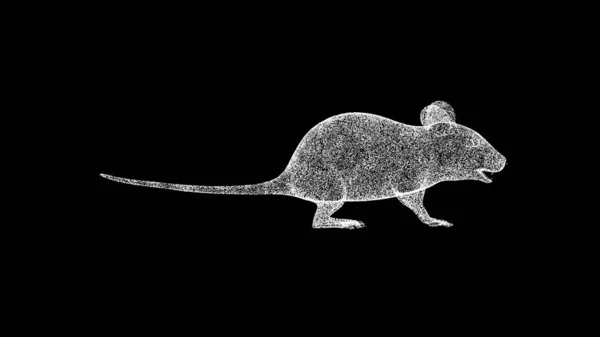 Mysz Czarnym Tle Koncepcja Małych Zwierząt Gryzonie Szkodniki Kontekst Reklamy — Zdjęcie stockowe